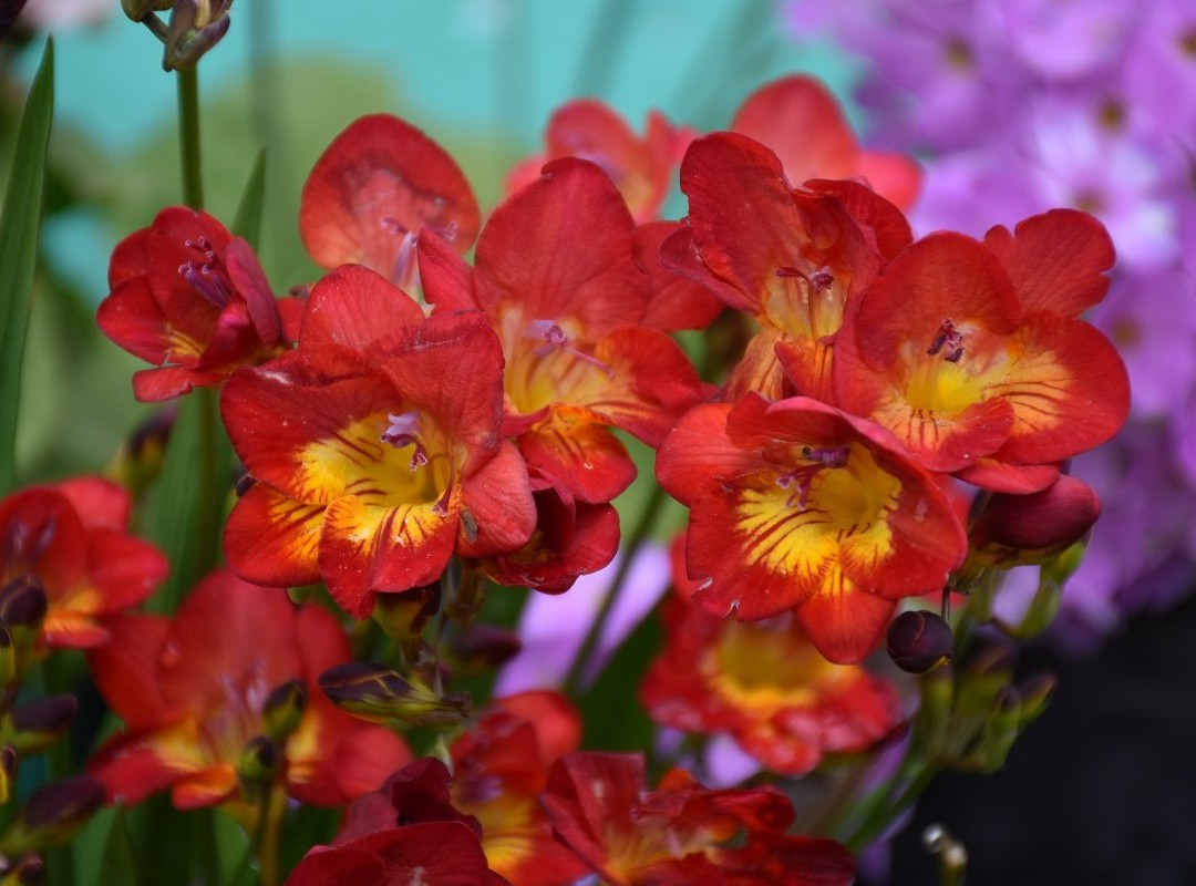 Charkhole Homestay主图