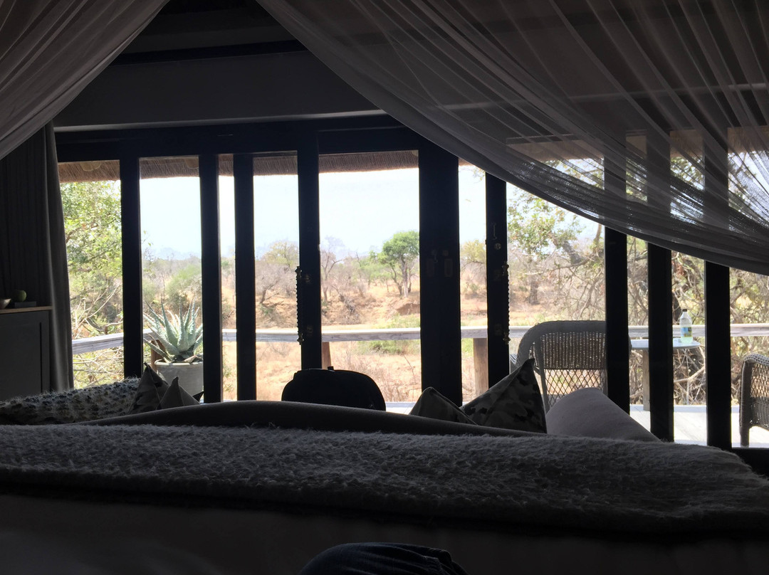 荆棘丛游戏山林小屋主图