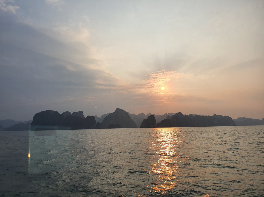Alova Cruises景点图片