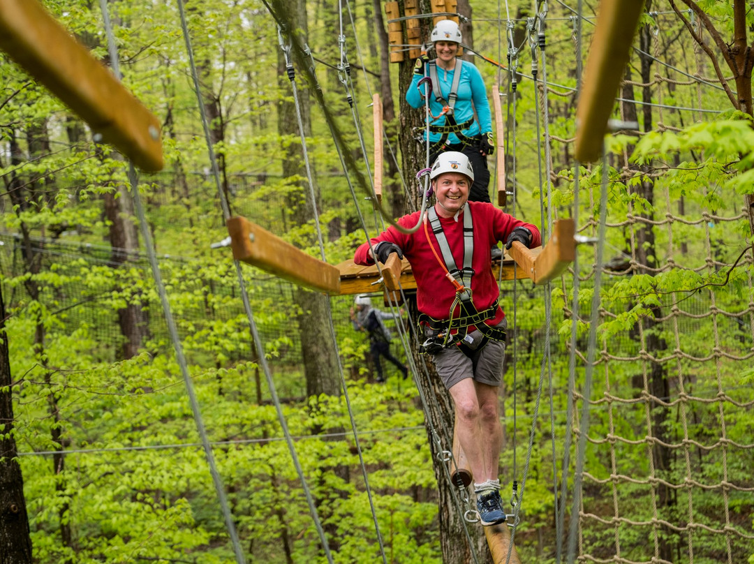 Treetop Trekking Hamilton景点图片