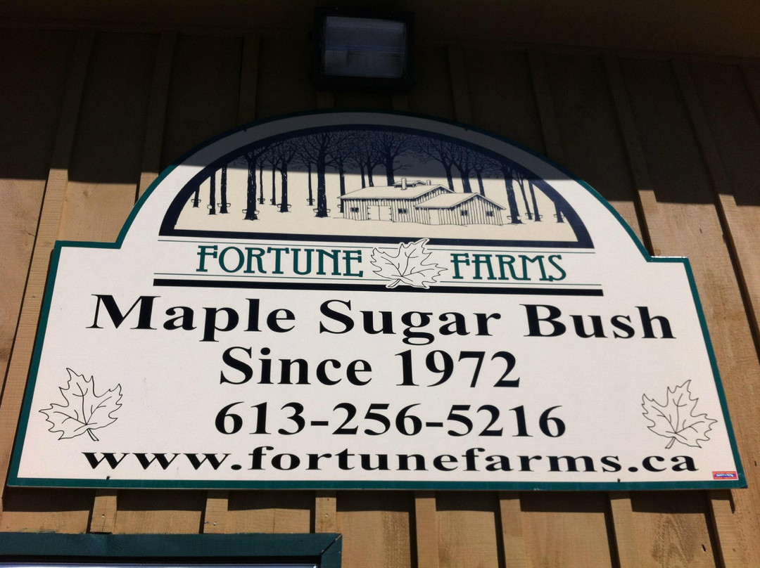 Fortune Farms景点图片