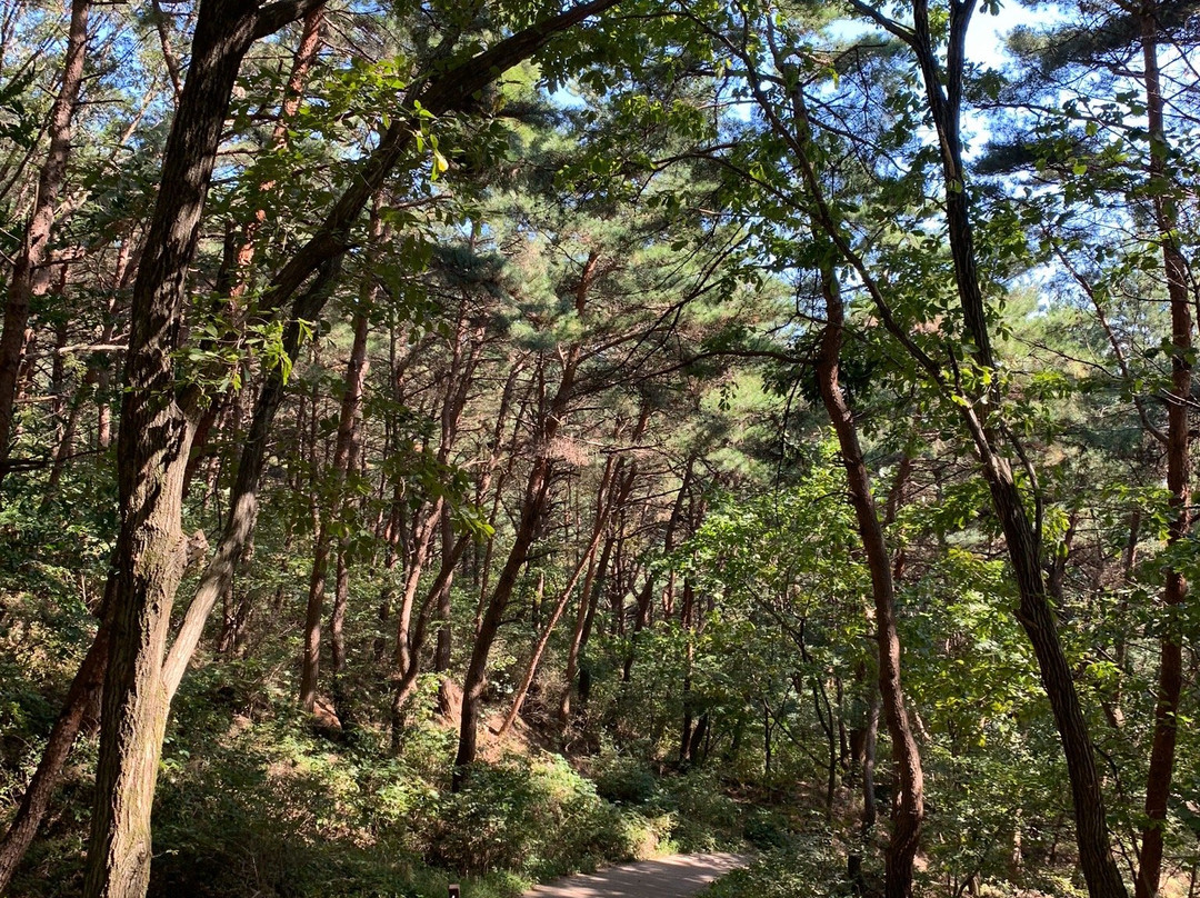 Sangdangsanseong Fortress-清州市必去景点