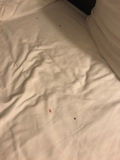 Baymont by Wyndham Sheridan主图