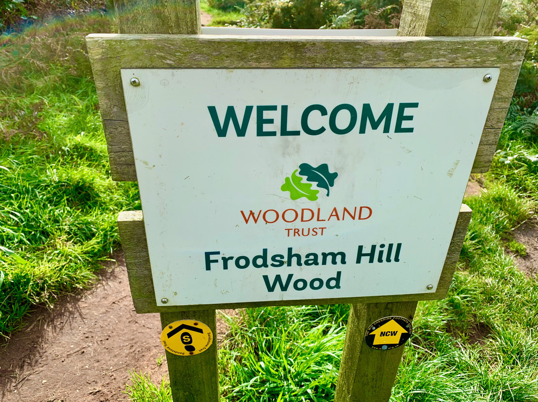 Frodsham Hill War Memorial景点图片