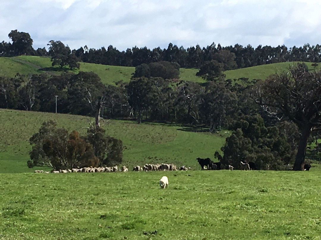 Wirraway Farm Stay主图