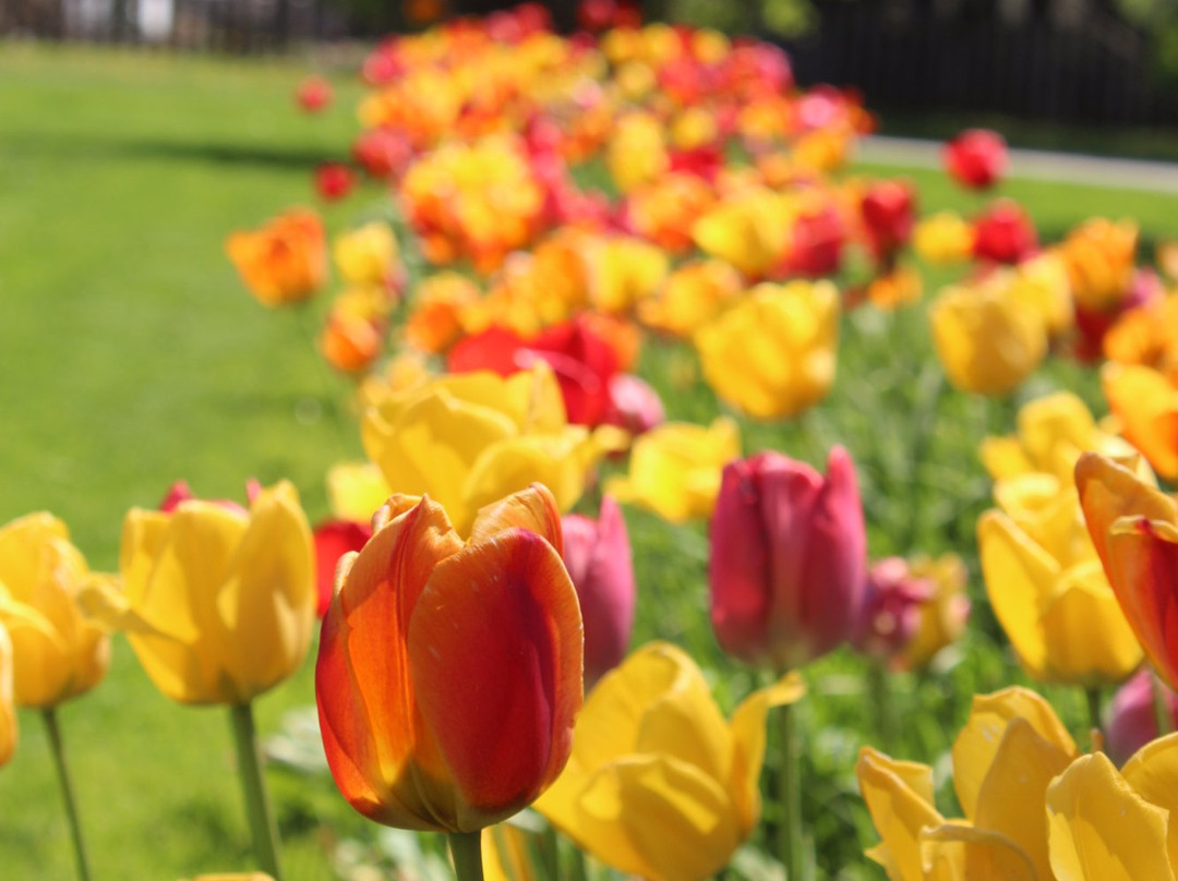 Iowa Falls旅游景点-Bristow Memories