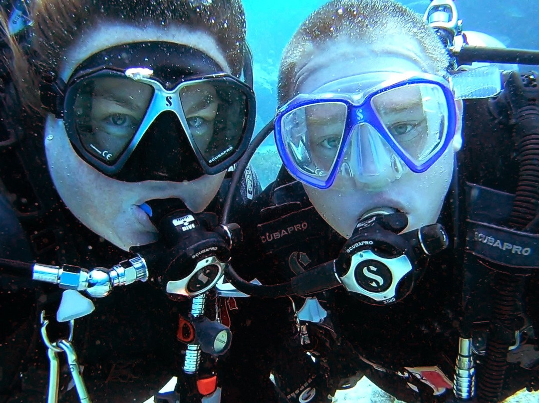 Adventure Dive Center-奥尔巴尼必去景点