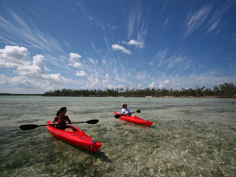Big Pine Kayak Adventures-Big Pine Key必去景点