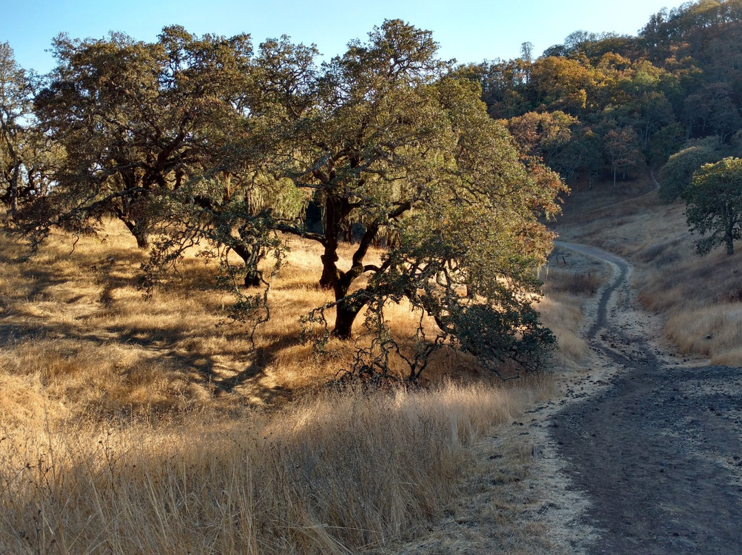 Sonoma Valley Regional Park景点图片