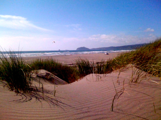 Clam Beach County Park景点图片