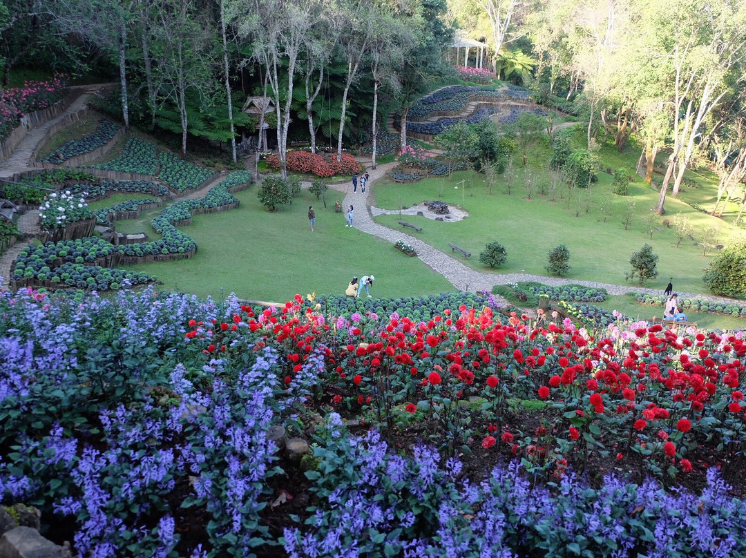 Doi Chang Mub Arboretum-夜发銮必去景点