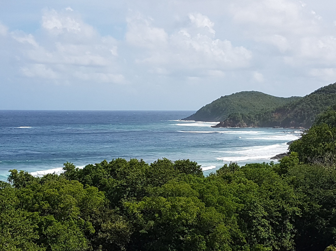 Residence Oceane Hotel主图