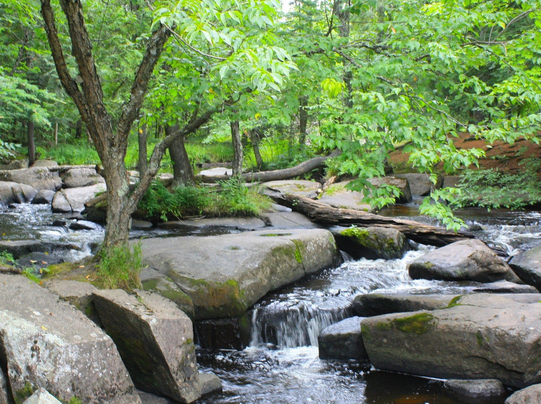 Goodman Park-Goodman必去景点