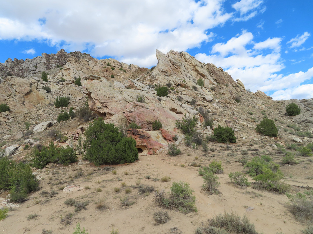 Fossil Discovery Trail