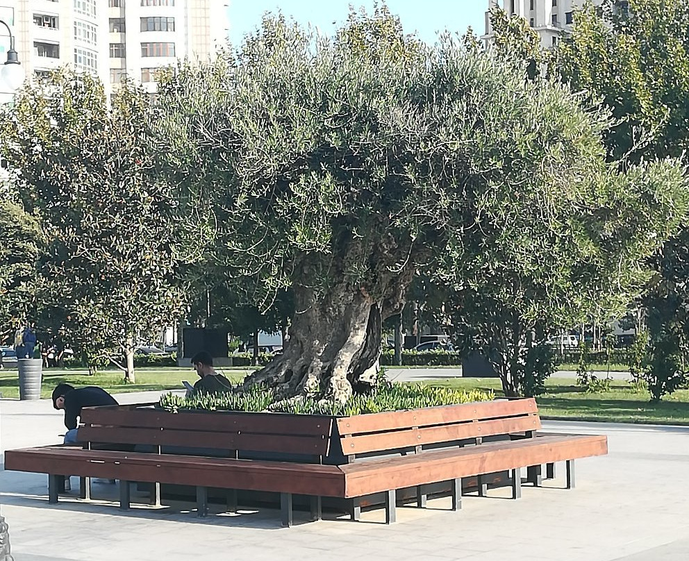 Fizuli Park-巴库必去景点