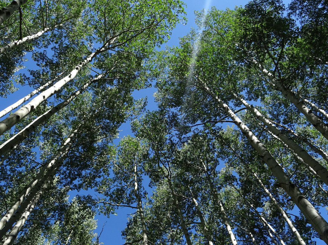 American Lake Trail-阿斯蓬必去景点