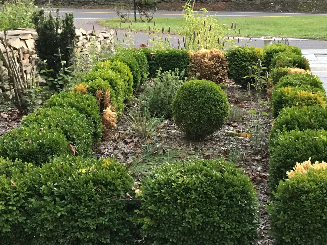 The Baker House Bed & Breakfast主图