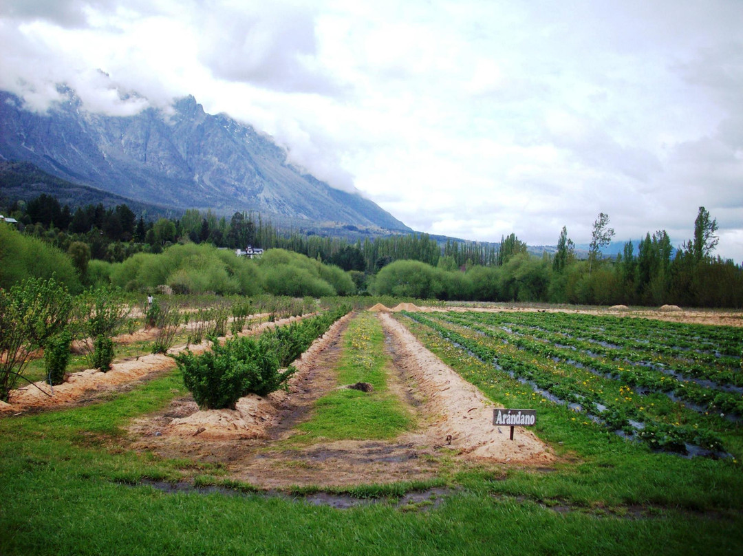 El Maiten旅游景点-Fabrica de Dulces Cabana Mico