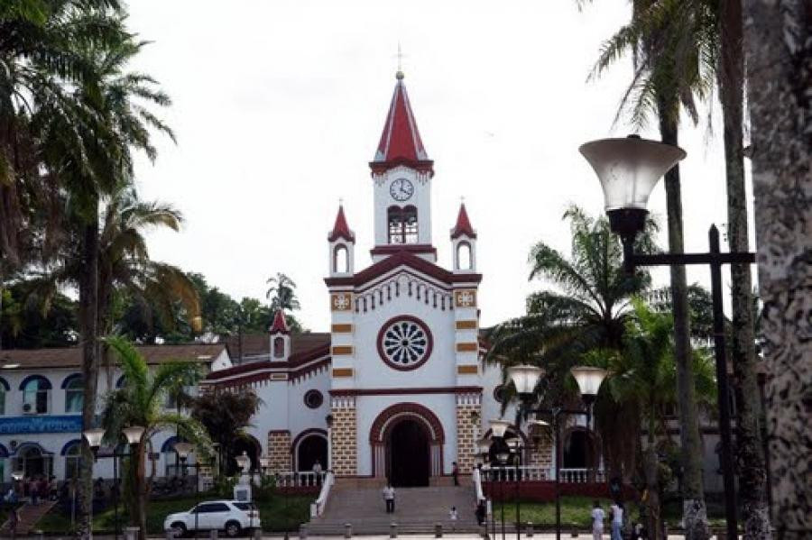 Catedral Nuestra Señora de Lourdes景点图片
