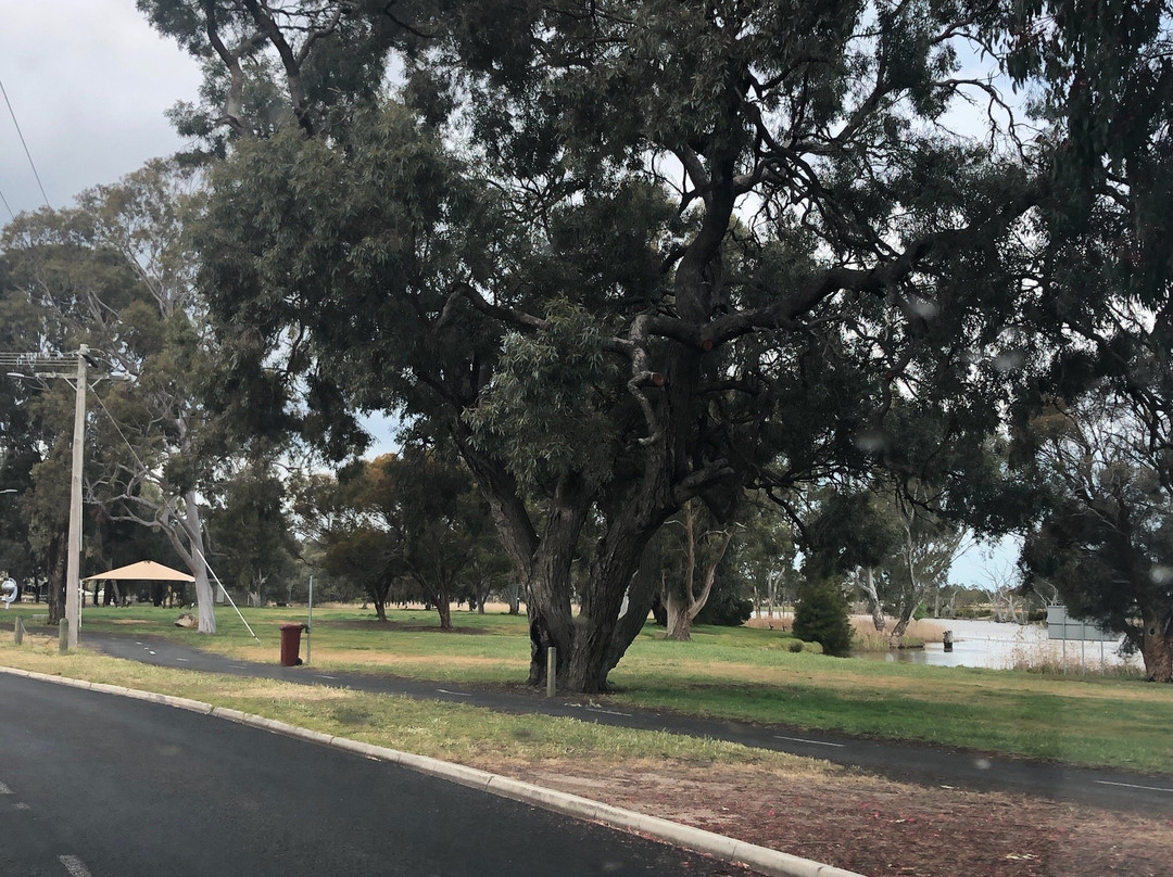 Wimmera River-霍舌姆必去景点