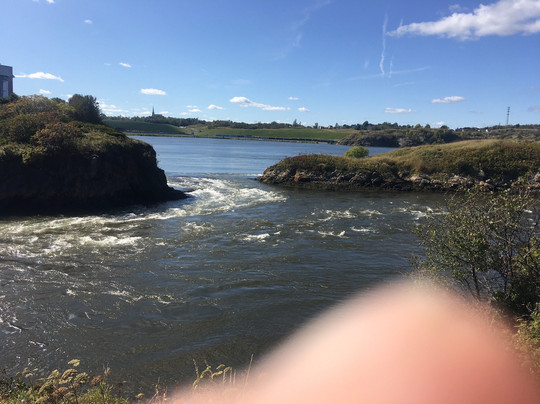 Roy's Tours-圣约翰必去景点