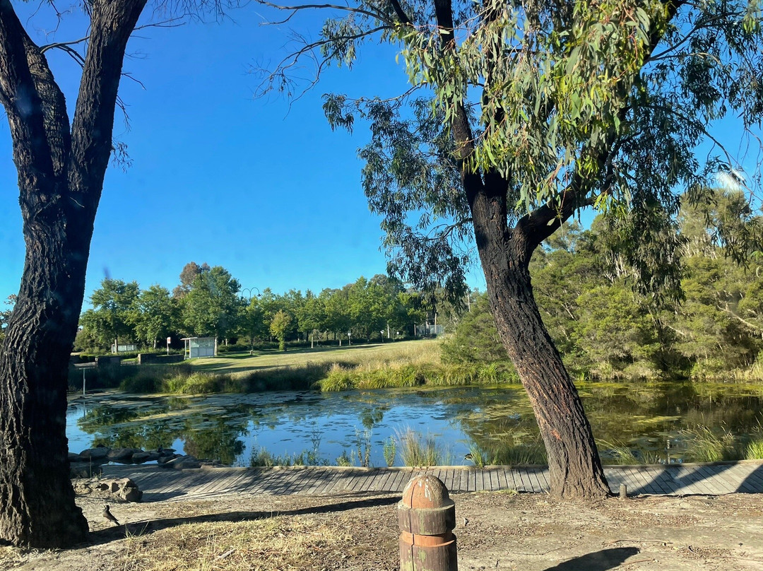 Beaconsfield Wetlands