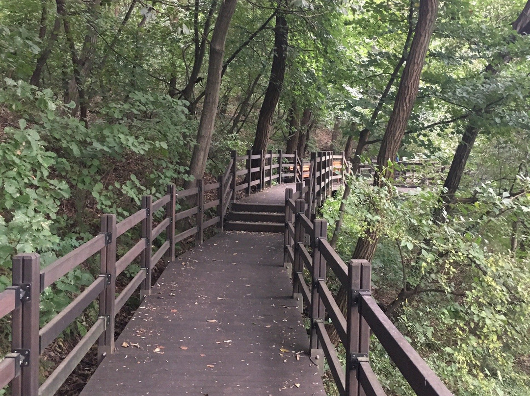 Bucheon Natural Ecological Park-富川市必去景点