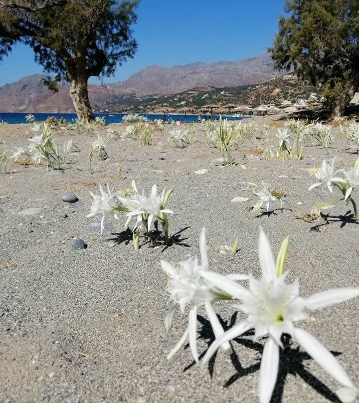 Plakias Beach-Plakias必去景点