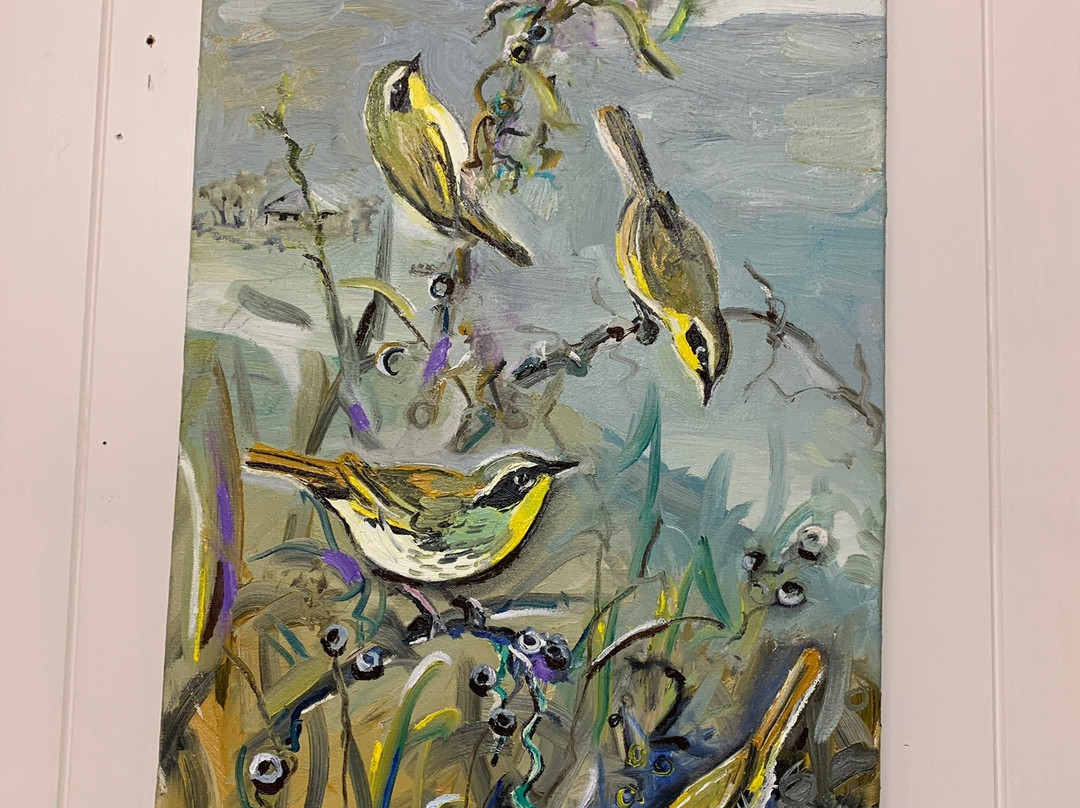 Janet Skinner Gallery-Blackbutt必去景点