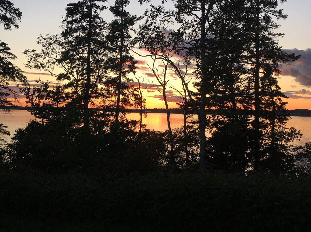 Owen House Country Inn and Gallery主图