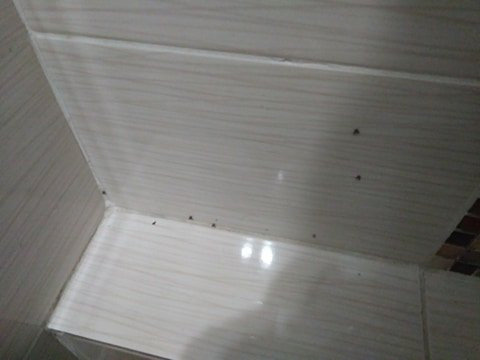 佩拉玛丽亚酒店主图