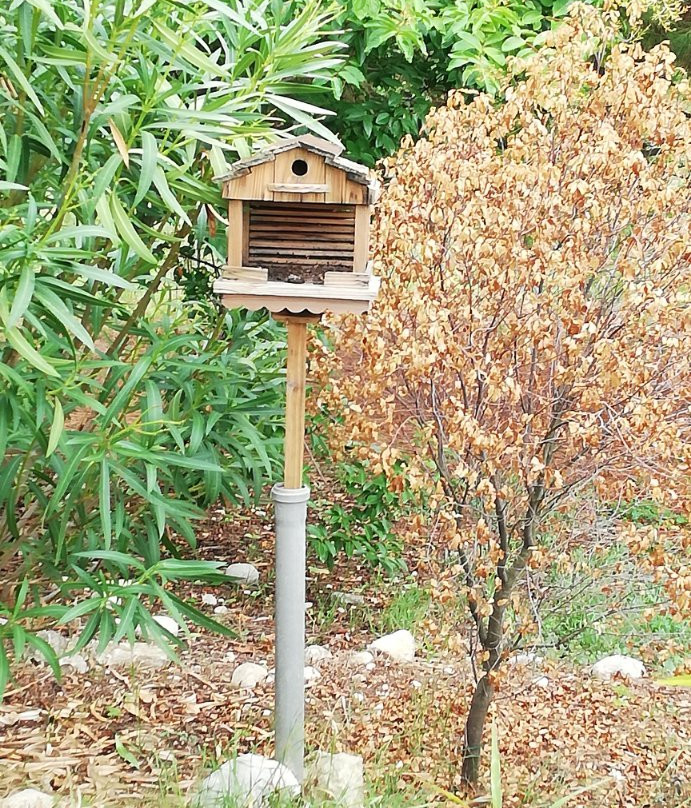 Bed & Breakfast Il Melograno主图
