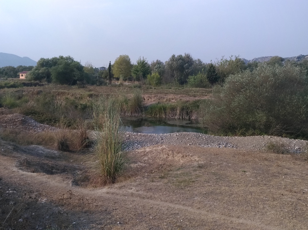 Kirmitli Bird Sanctuary-Osmaniye必去景点