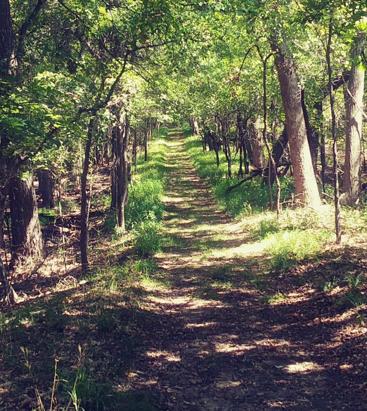 Fort Worth Nature Center & Refuge-沃思堡必去景点