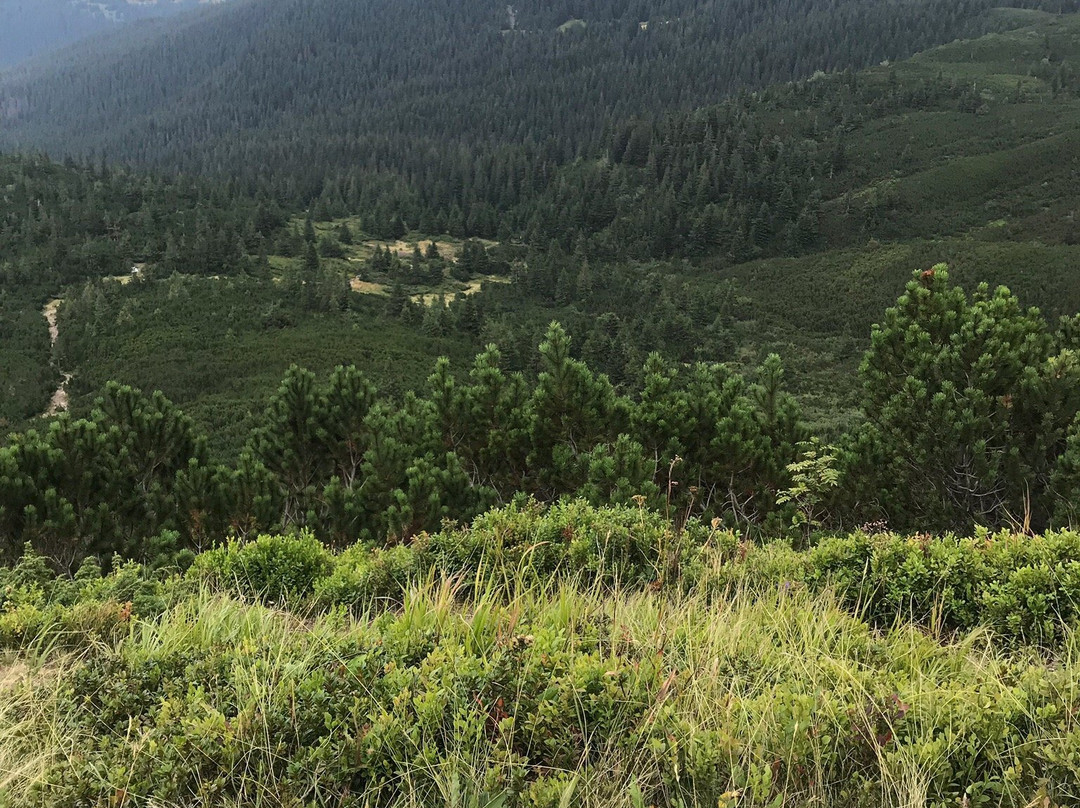 Lake Nesamovitoye-Vorokhta必去景点