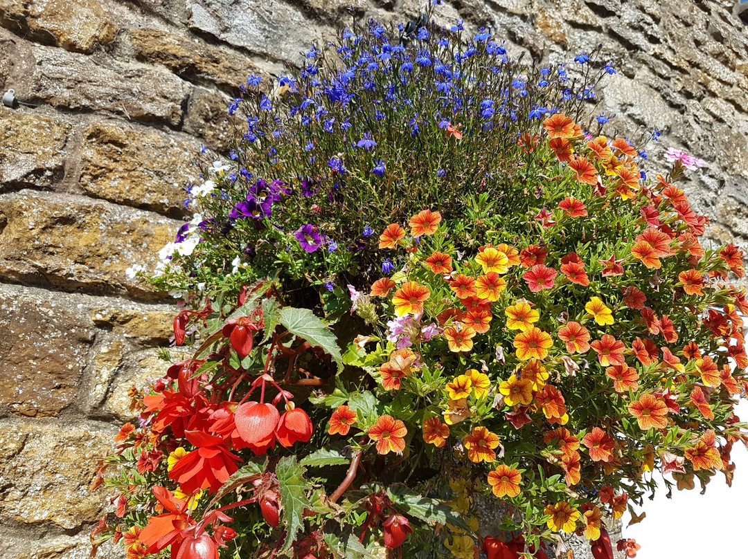 Stoke Abbott旅游攻略图片