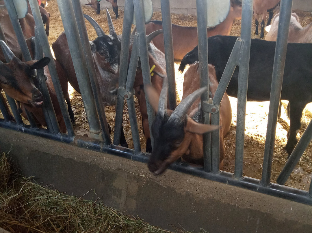 La Ferme des Divols-Beaulieu必去景点