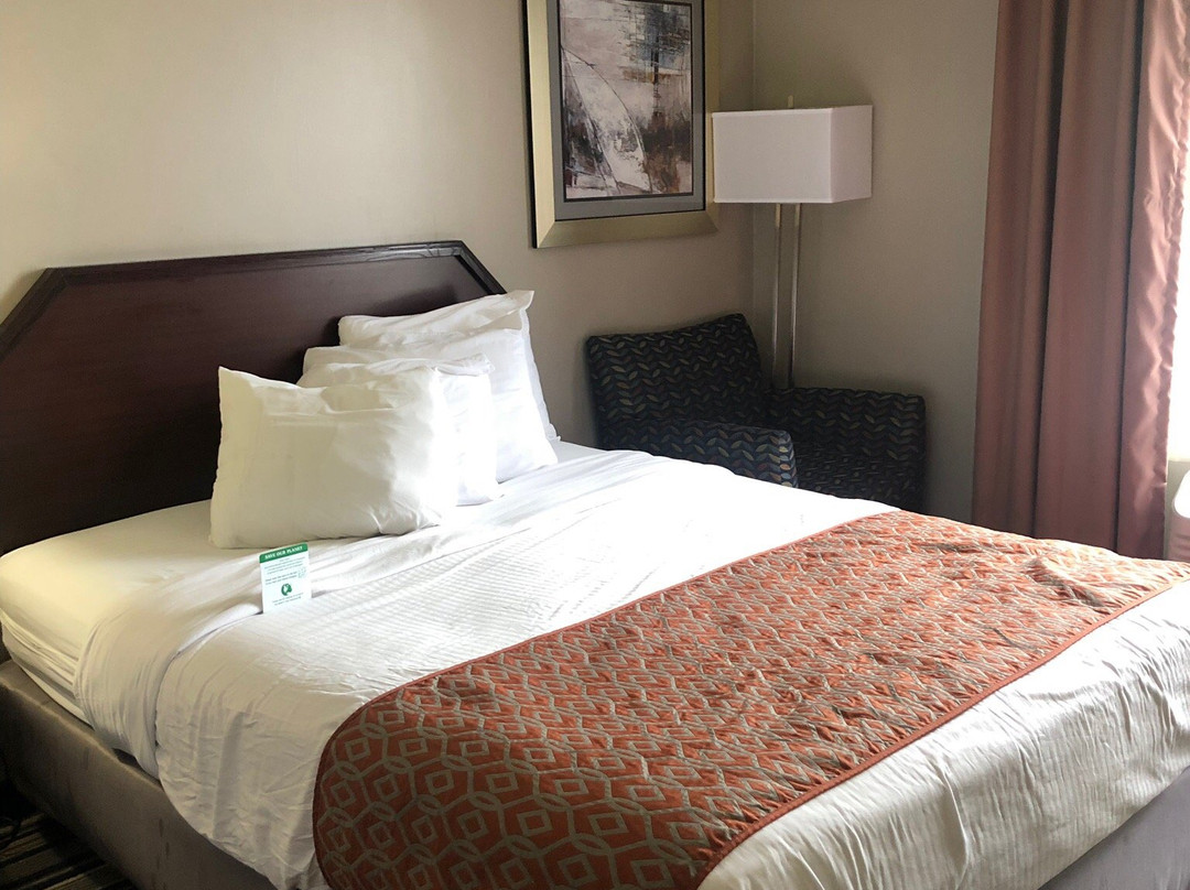 舒适酒店及套房哈里斯堡-赫尔希北主图