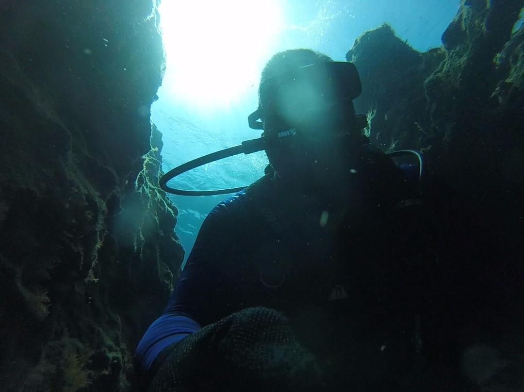 Apollo Diving Center景点图片