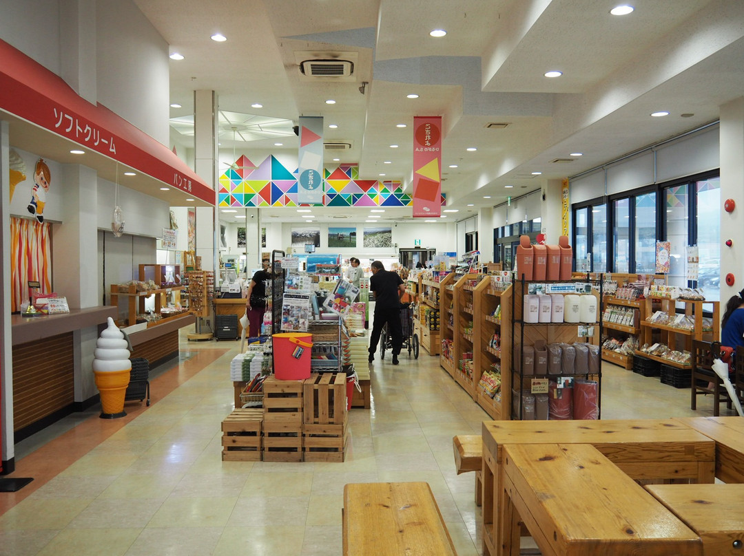 Hirugano Kogen Service Area-郡上市必去景点