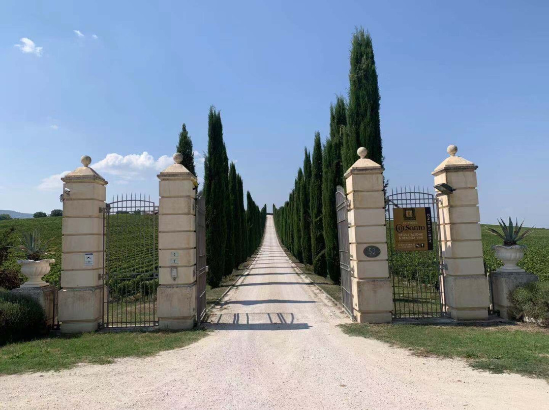 Umbria Wine Tour景点图片