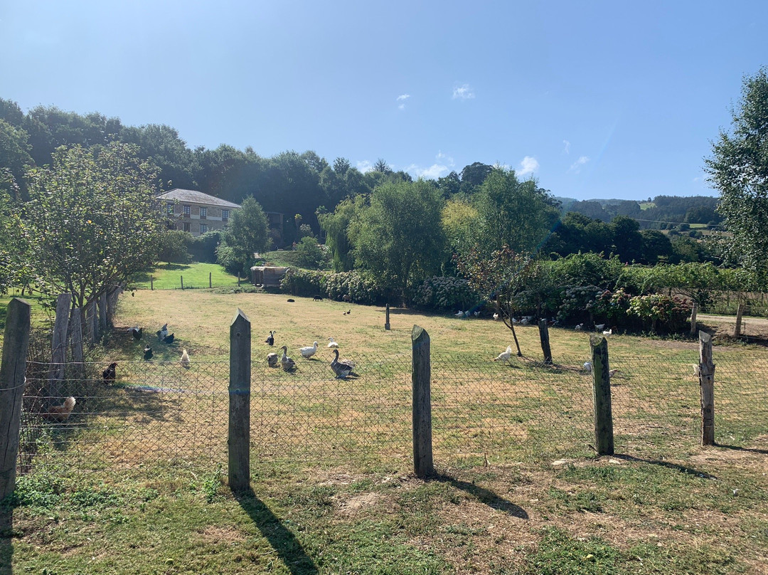 La Casona de Amaido主图