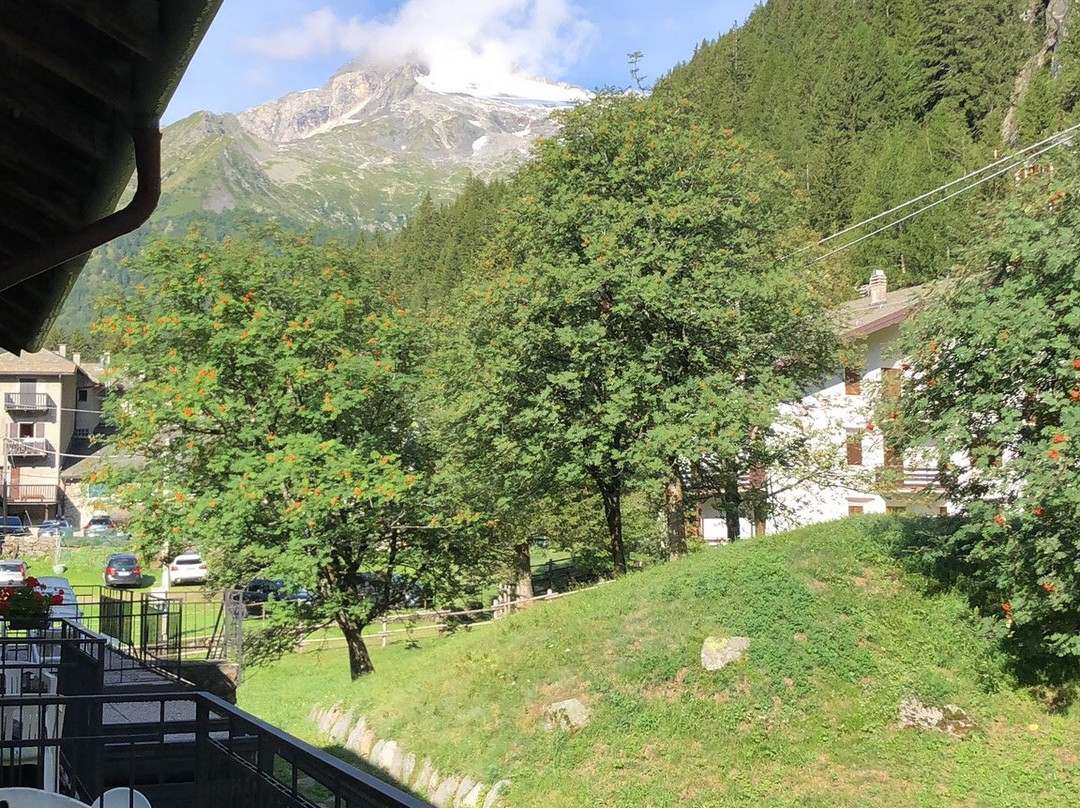 Hotel Chiareggio主图