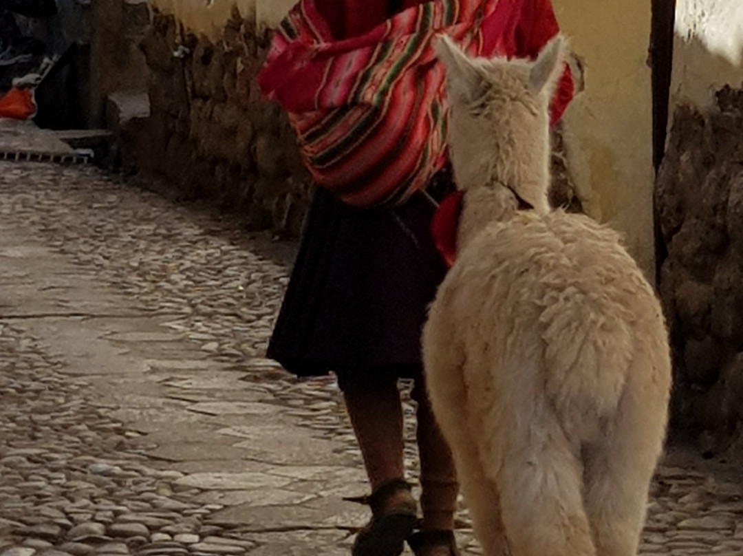 Perou Voyage Tour Operator-阿雷基帕必去景点