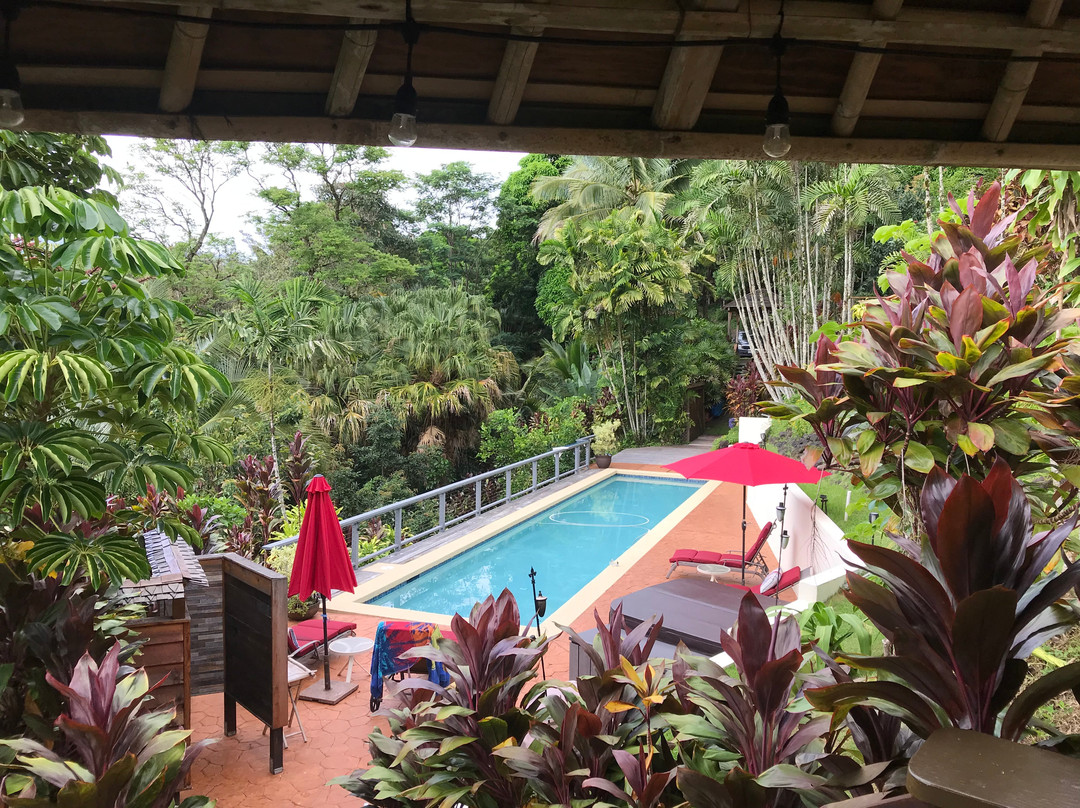 Marjorie's Kauai Inn主图