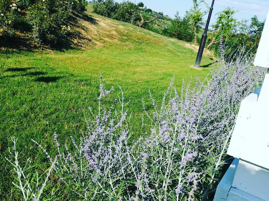 Il Gelso Country House主图