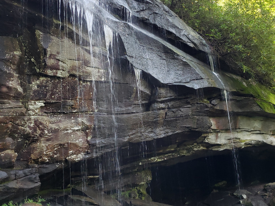 Slick Rock Falls景点图片