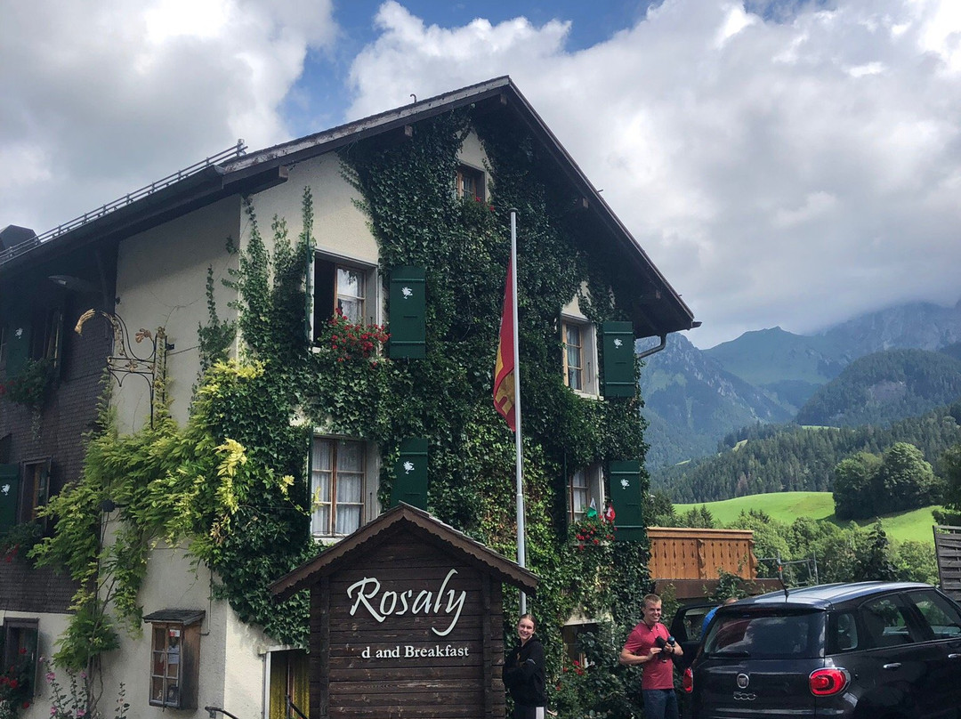 B&B Rosaly主图