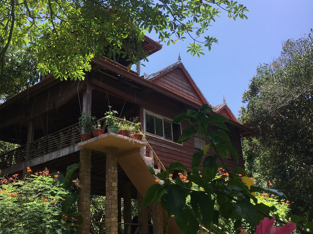 Kep Butterfly Farm景点图片