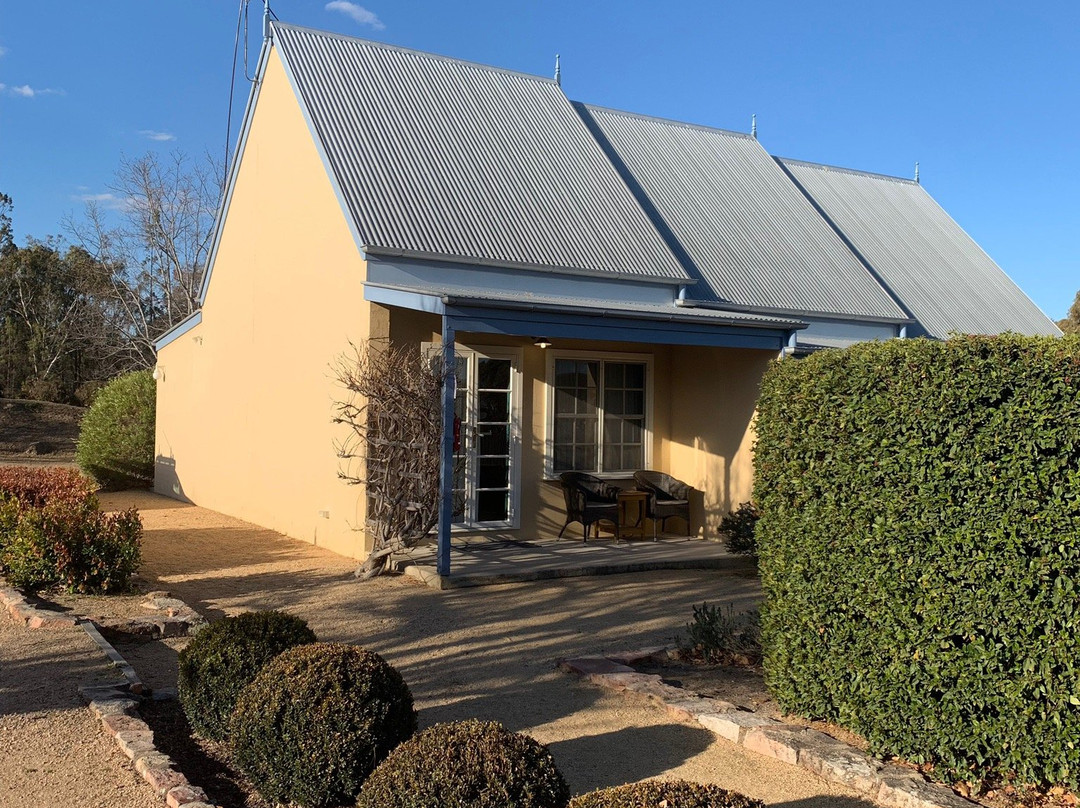 葡萄园咖啡别墅主图